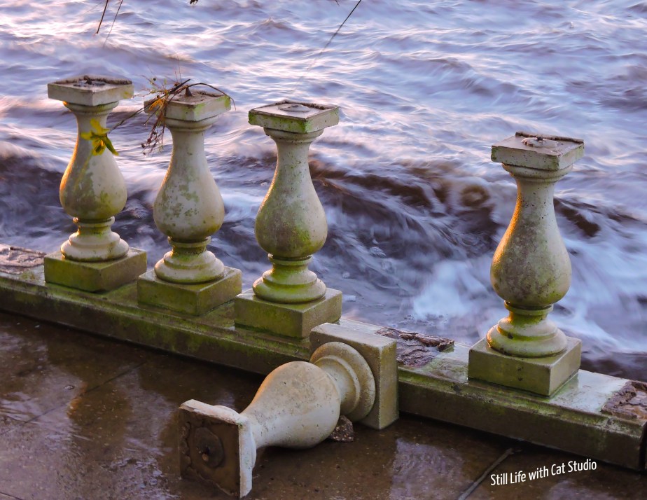 Beauty in destruction