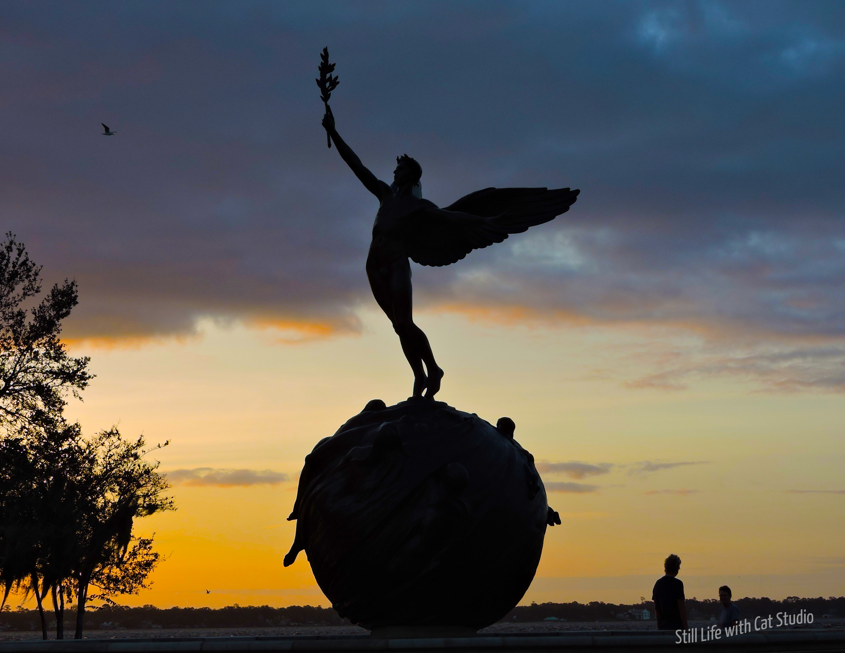 Sunrise of Life after Irma