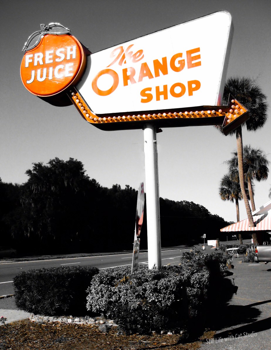 Orange Shop. Citra Florida